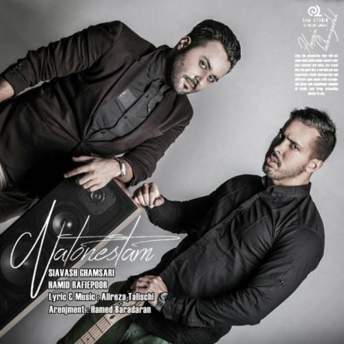 دانلود آهنگ نتونستم